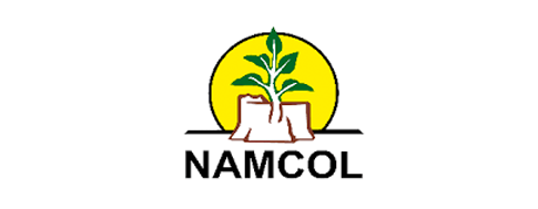 Namibia College of Open Learning